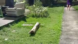 FN028 Fampfy nana sex solo