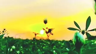 Village sex hard Big boobs and big ass girl hard sex pussy and anal sex