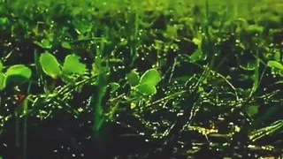 Beautifull Bollywood actress sex with me I'm hard fucked full day