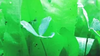 Indian beautifull vilage lady sex with me I'm hard sex with full day