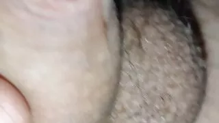 Junger tropfender ungeschnittener Schwanz