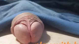 I played a little with the head of the penis