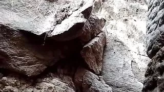 Piss und Cumshort Tribut