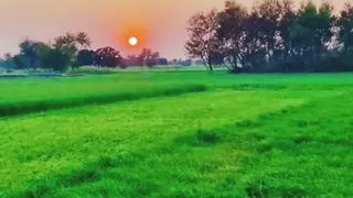 Boss fucked hard with sexy lady client hard Big and big pussy hard anal sex