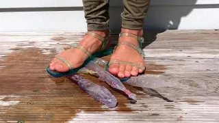 Ice Pong And Jelly Sandal Squirting/bursting