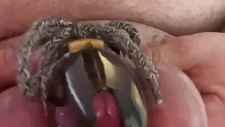 Chastity with ball bondage and extreme nipple clamps (crocodile clips)