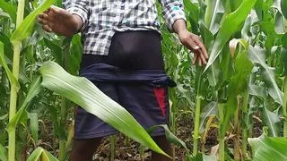 Khet me le Jake ladki ko choda