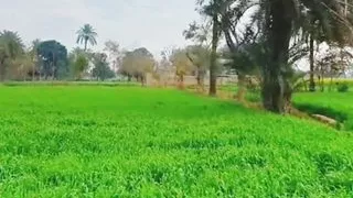 Muslim indian hijab girl meat with me and I fucked hard pussy and anal best xxx porn movies