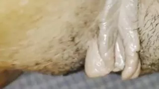 Sharing bed with stepsis and insert dick in her pussy