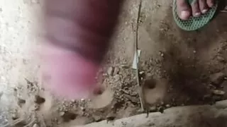 Videoanruf auf WhatsApp Girlfriend