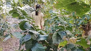 Jangle me Mangal kar diya