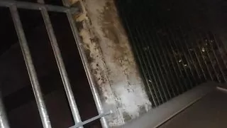 Little Dick humiliate at work