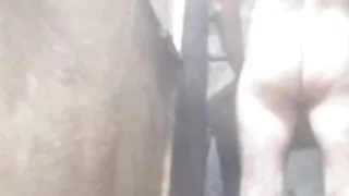 Nanga munda in bathroom shower time big ass boy big cock meriphudi bigprince007 handjob