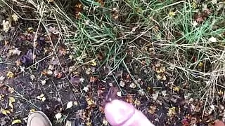 Risky Public Handjob - Old Cabin