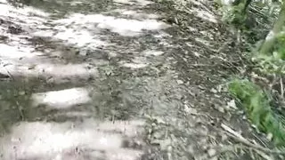 Risky Public Handjob - In the Woods