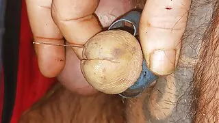 Tiny pinned penis