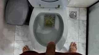 Pee Compilation