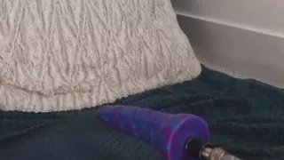 Piggies tits were scrubbed by a hard brush