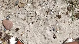 Risky Public Handjob - On The Beach