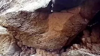 Dubbed anaconda waiting