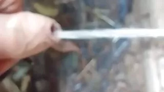 White pee wala choora