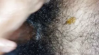 Black cock miamela show her dancing penis and enjoy fantasy by self