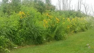 Running naked in the rain
