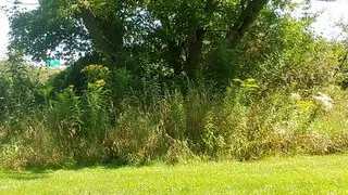 Running nude alongside a busy highway