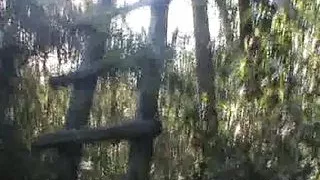 Vintage Retro German Amateur your Daily Dose of Porn