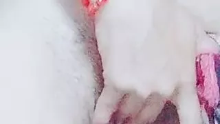 video call while my boyfriend