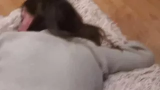 Distracted stepsister from reading Hard Fuck Stepbrother Stepsister In All Position Real Orgasm And Hot Huge Cumshot