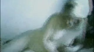 Vintage Retro German Amateur your Daily Dose of Porn