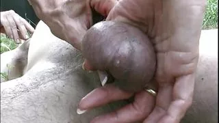 Strani esperimenti sessuali all'aperto