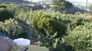 Various Artist - Cumswapping Headliners 17