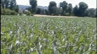 Vintage Retro German Amateur your Daily Dose of Porn