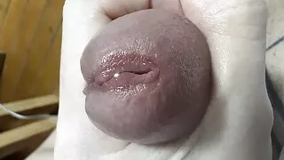 Orgasm of destruction