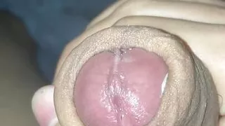 My Cock is gripping wants some pussy to put it i.