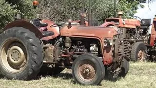 big ass chubby kala having a hardcore threesome and double penetration 