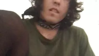 Street Cat Beauty: The Beauty of Stray Cats