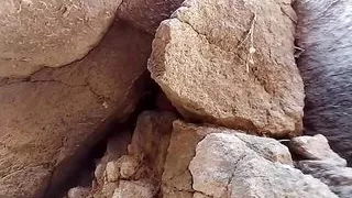 Ass and cocks massage