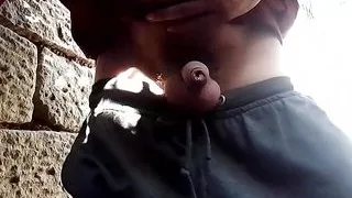 Big bull certified creator