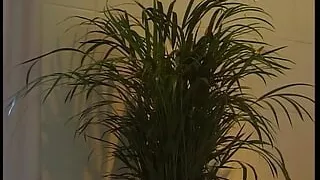 Vintage Retro German Amateur your Daily Dose of Porn