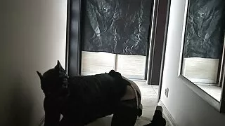 my little erotic adventure