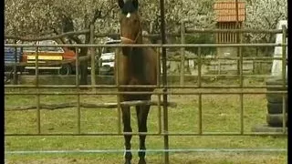 Vintage Retro German Amateur your Daily Dose of Porn