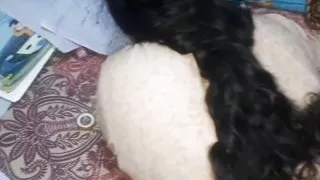 New Indian college hot girl ne apana tusion teacher ke sath kiya sex video upload by RedQueenRQ