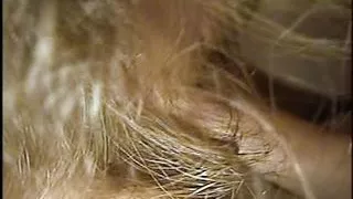 Vintage Retro German Amateur your Daily Dose of Porn