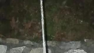 Pissing by Flashlight