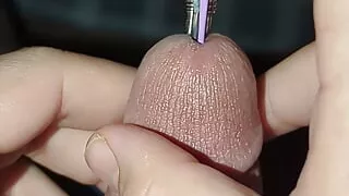 Malaysian Amateurs Sounding Urethral