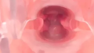 Juicy Pussy Closed Up