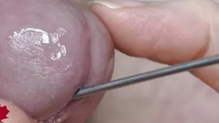 Sounding Session with super close up of the glans.